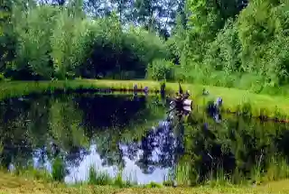 Natural Water Pond Quarry at Hiranandani Krisala Township