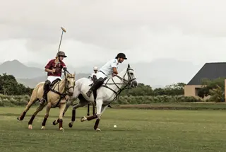 Resort with Race Course & Polo Club